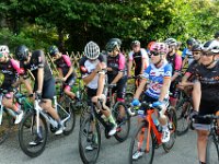 Jolidon Classique 010 : Jolidon Classique